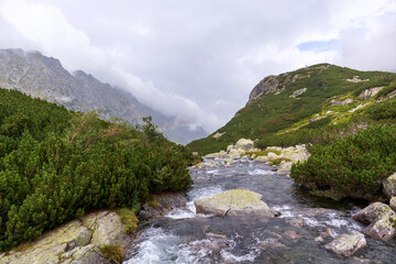 A small river in the Polish mountains with many gray stones and many green trees