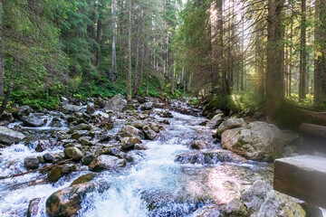 Fototapeta na wymiar A small river in the Polish mountains with many brown stones and dark green forest around it