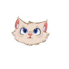cat sketch