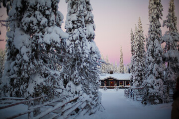 cozy village in a snowy forest. northern pink dawn in the afternoon