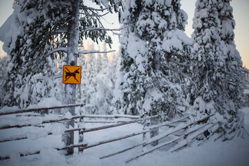 yellow sign prohibiting dog walking, crossed out image of a dog