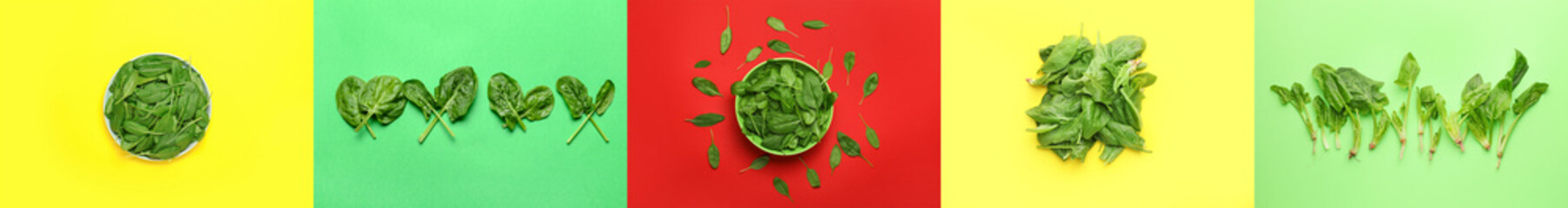Collage with many fresh spinach on colorful background, top view