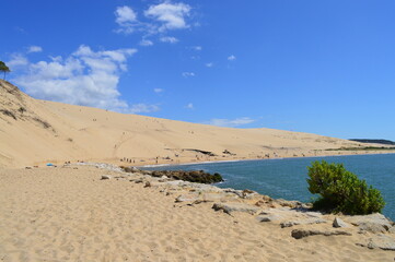 Fototapeta na wymiar Dune de Pilat
