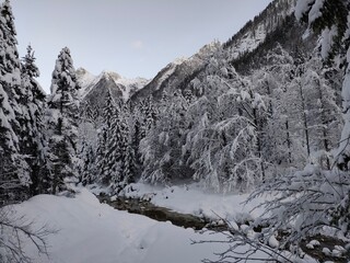 creek and snow covered trees in mountains at Rio del Lago Valley on the Julian Alps