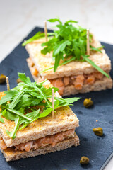 Fototapeta na wymiar salmon tartare in toast bread
