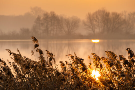 sunrice over Jaroslavice pond, Czech Republic