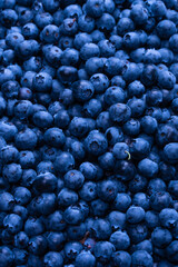 Fresh blueberry background. Texture blueberry berries close up.
