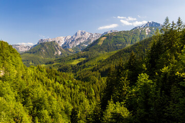 National Park Kalkalpen in Austria