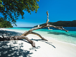 Scenic view of Koh Ra Wi Island white sand beach, crystal clear turquoise sea against clear summer blue sky with iconic dead tree trunk. Near Koh Lipe Island, Tarutao, Satun, Thailand.