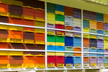 bee hive in Vipavska Dolina in Slovenia