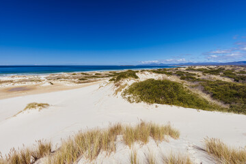 Fototapeta na wymiar Peron Dunes in Akaroa Tasmania Australia