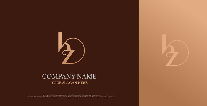 Initial KZ Logo Design Vector 