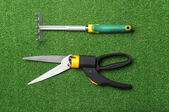 Pruner for gardening and rake on green grass background