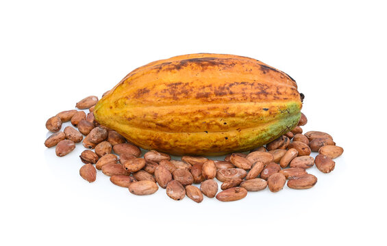 ripe cocoa and cococa beans isolated on white background