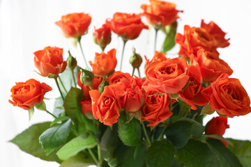 Fototapeta premium romance and celebration, bouquet of vibrant orange roses for wedding anniversary or valentines day gift with green leaves isolated on white background