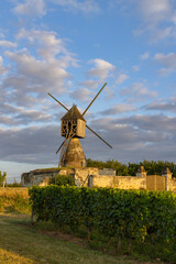Plakat Windmill of La Tranchee and vineyard near Montsoreau, Pays de la Loire, France