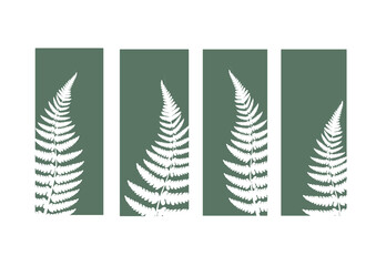 Fern leaves illustration design on green background