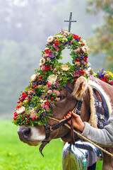 Viehscheid - Allgäu - Kranzkuh - Almabtrieb