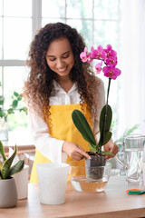 Young woman taking care of her orchid flowers at home