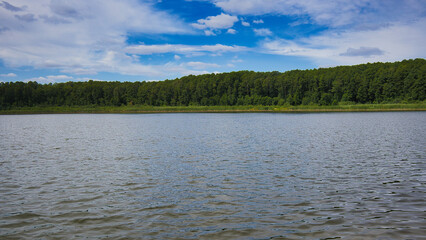 Ufer mit Schilf am See, Gorinsee (Wandlitz), Landkreis Barnim, Land Brandenburg, Deutschland	