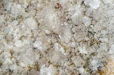 Evaporation of sea water in a puddle and formation of salt crystals close