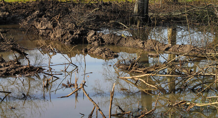 Muddy puddle after massive rain in the fall