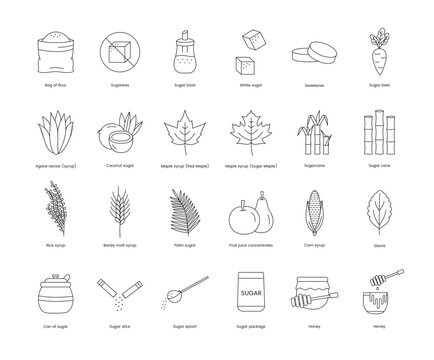 Products and plants from which sugar is made A set of line icons in vector includes images such as beets and agave, cane and stevia, corn and rice, sugar cubes and fruit, syrup red maple.