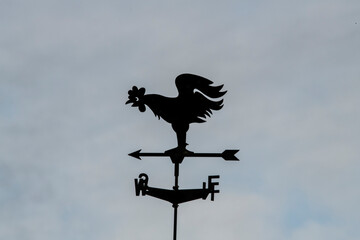 black cock on a flieger close-up