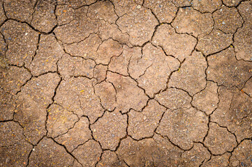 Background of texture cracked dry soil , concept of Ecology and climate change.