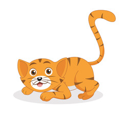 Cute cat isolated on white background