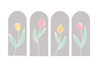 Tulips flower illustration design on frame wallpaper