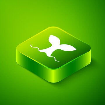 Isometric Whale tail in ocean wave icon isolated on green background. Green square button. Vector