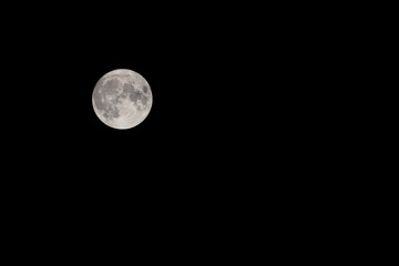 Beautiful full moon in the night sky.  