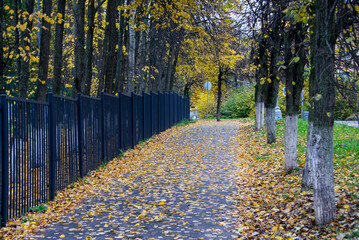 Fototapeta na wymiar Road strewn with autumn leaves and a fence