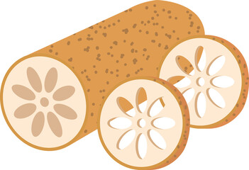 Colorful food ingredient vegetable Lotus root