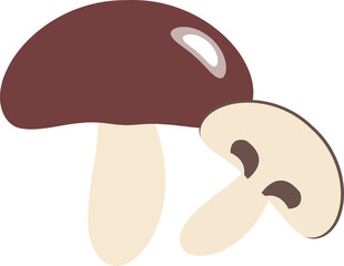 Colorful food ingredient vegetable Fungous mushroom