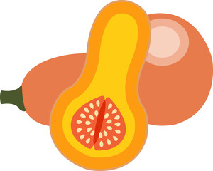 Colorful food ingredient vegetable Butternut squash