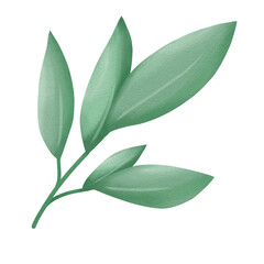 Watercolor green leaf branches or floral illustration for wedding stationery, greetings, background ornament