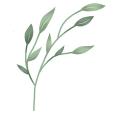 Watercolor green leaf branches or floral illustration for wedding stationery, greetings, background ornament