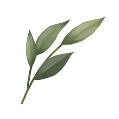 Watercolor green leaf branches or floral illustration for wedding stationery, greetings, background ornament