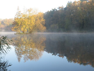 Morgennebel am See