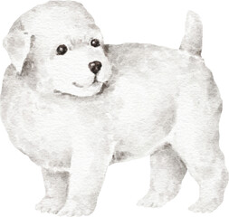 Bicho frise puppy illustration