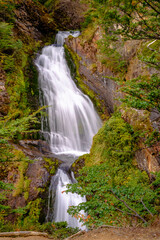 Fototapeta na wymiar The waterfall 'Veil of the Bride' lies close to the city of Ushuaia and falls into 'Río Olivia'.