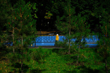 A small boy in a bright yellow vest among the green fir trees looks at the pool in the forest