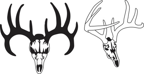 deer skull illustration