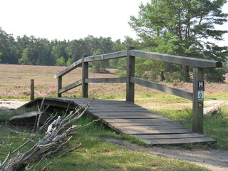Fototapeta na wymiar Brücke in der Lüneburer Heide