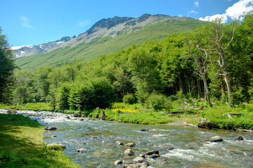 Río Chico streams through the Andorra Valley of Ushuaia in Tierra del Fuego. The river lies in the middle of a supreme nature scenery.