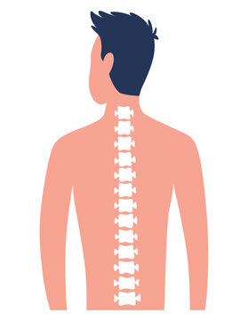 recommend clip art: Osteopathy spine pain treatment. Patient male standing back view, spine scheme flat vector illustration. Disease diagnosis. Bone health