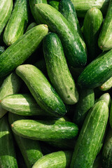 cucumber top view, vegetable harvest, food background