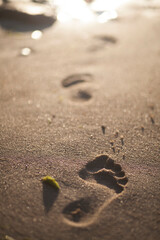 footprints in the sand in the setting sun, sunset on the beach